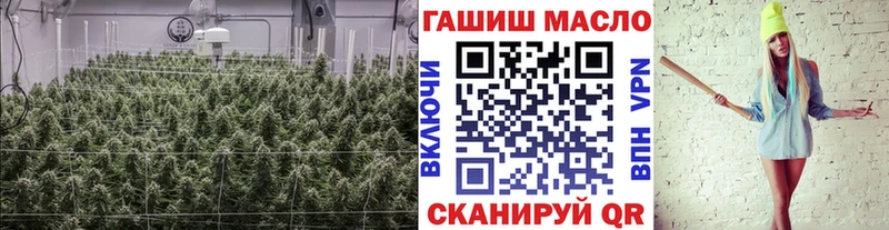 купить наркотики сайты  Бежецк  ТГК концентрат 